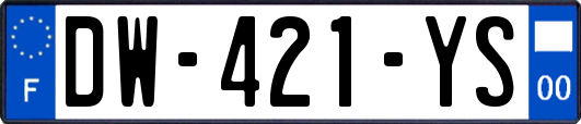 DW-421-YS