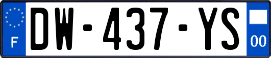 DW-437-YS