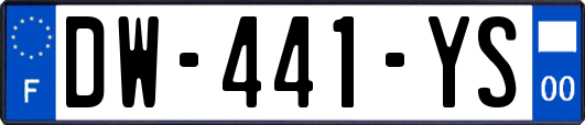 DW-441-YS