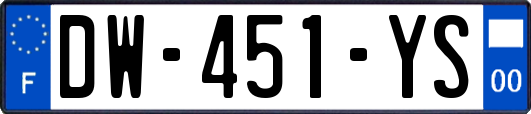 DW-451-YS