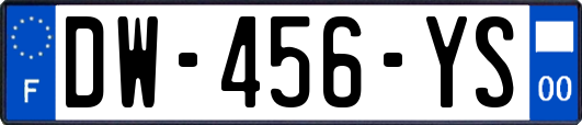 DW-456-YS