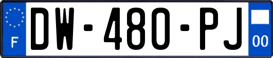 DW-480-PJ