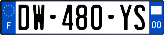 DW-480-YS