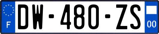 DW-480-ZS