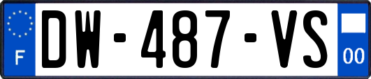 DW-487-VS