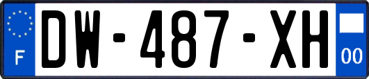 DW-487-XH