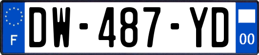 DW-487-YD