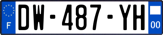 DW-487-YH