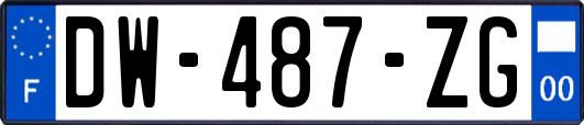DW-487-ZG