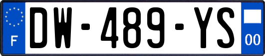 DW-489-YS