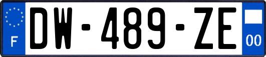 DW-489-ZE