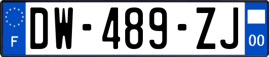 DW-489-ZJ