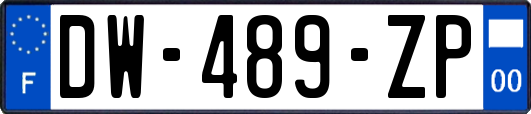 DW-489-ZP