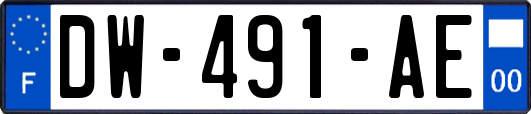 DW-491-AE