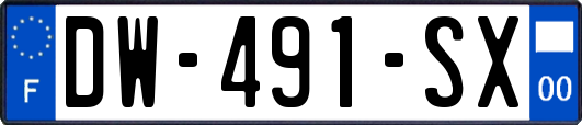 DW-491-SX