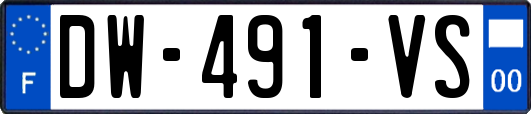 DW-491-VS