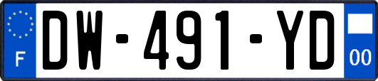 DW-491-YD