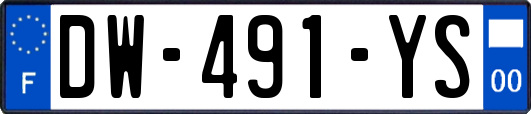 DW-491-YS