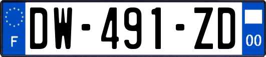 DW-491-ZD