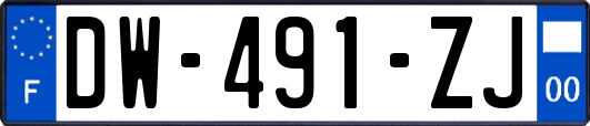 DW-491-ZJ