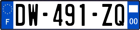 DW-491-ZQ