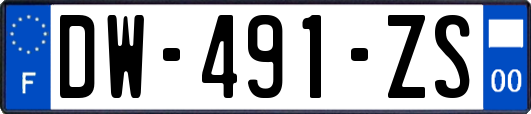 DW-491-ZS