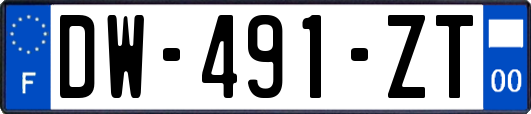 DW-491-ZT