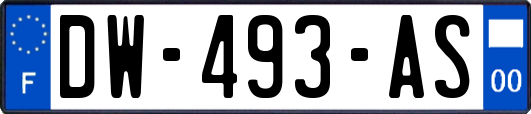 DW-493-AS