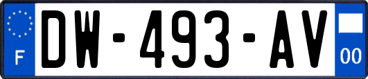 DW-493-AV