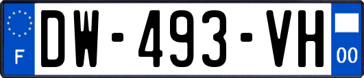 DW-493-VH