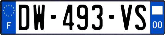 DW-493-VS