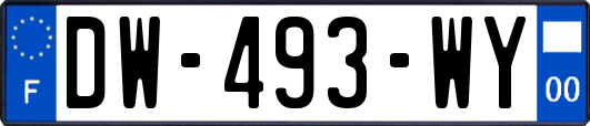 DW-493-WY