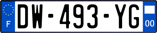 DW-493-YG