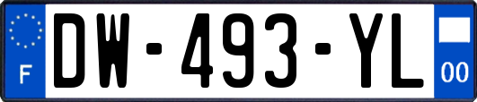 DW-493-YL