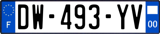 DW-493-YV