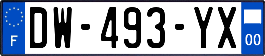 DW-493-YX