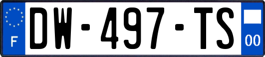 DW-497-TS