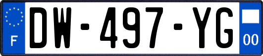 DW-497-YG