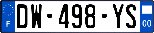 DW-498-YS