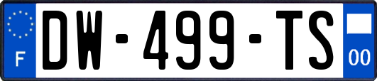 DW-499-TS