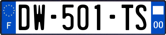 DW-501-TS