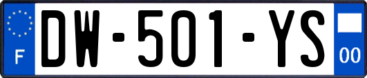 DW-501-YS