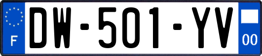 DW-501-YV