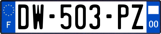 DW-503-PZ