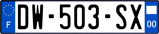 DW-503-SX