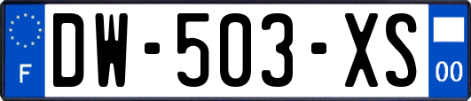 DW-503-XS