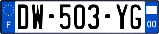 DW-503-YG