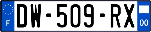 DW-509-RX