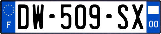 DW-509-SX