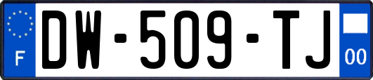 DW-509-TJ